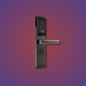 Key Swipe Electronic Door Lock